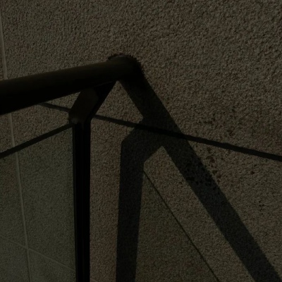 兽设物种设计灵感福瑞交流群